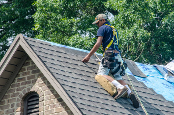 Best Shingle Roofing Installation  in Selma, NC